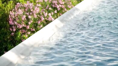 The Ronettes - Walking In The Rain (1964)