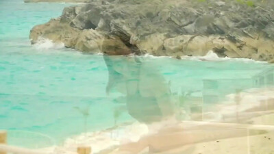 The Ronettes - Walking In The Rain (1964)