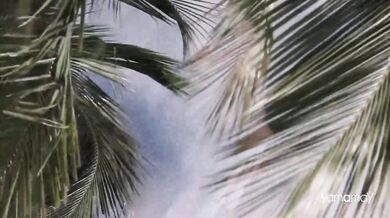 The Jimi Hendrix Experience - The Wind Cries Mary (1967)