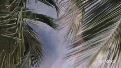 The Jimi Hendrix Experience - The Wind Cries Mary (1967)