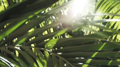 The Velvet Underground - Sweet Jane (1970)