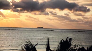 Dion - Runaround Sue (1961)