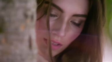 The Animals - Don-t Let Me Be Misunderstood (1965)