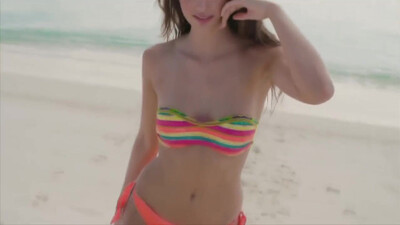 The Animals - Don-t Let Me Be Misunderstood (1965)