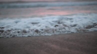 The Lovin' Spoonful - Do You Believe In Magic (1965)