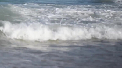 The Band - The Night They Drove Old Dixie Down (1969)