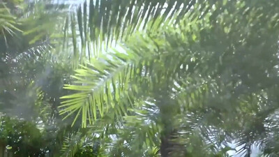 U2 - Sunday Bloody Sunday (1983)